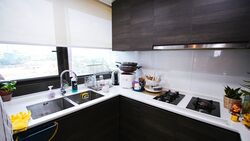Sims Urban Oasis (D14), Condominium #290592311